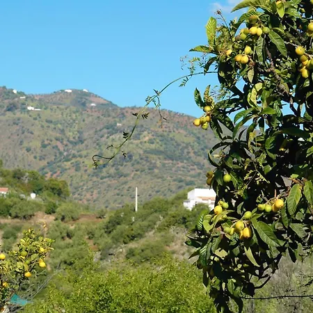 Couette-café Jingtu Wellness & 4*