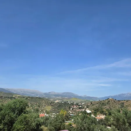 Jingtu Wellness & * Comares